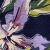 NAVY PURPLE