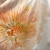 ORANGE（通常丈）