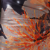 BLACK ORANGE